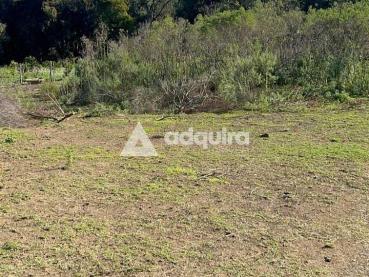 Chácara de 10m² à Venda - Ponta Grossa - Ref. 539548-4