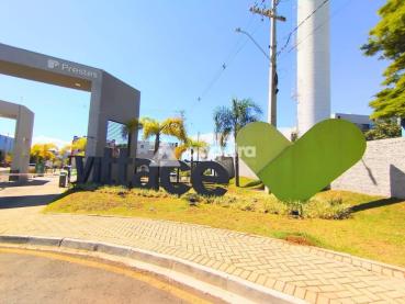 Apartamento de 59m² à Venda, 2 quartos - Ponta Grossa - Ref. 539705-4