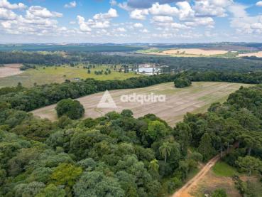Terreno de 145.000m² à Venda - Ponta Grossa - Ref. 539986-4