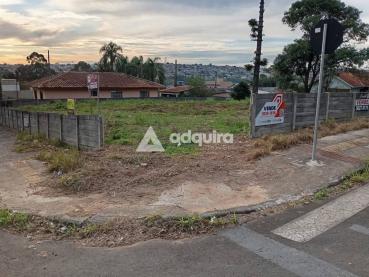Terreno de 924m² à Venda - Ponta Grossa - Ref. 541030-4