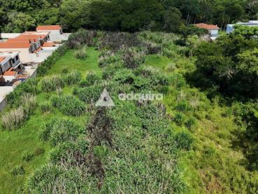 Terreno de 10.000m² à Venda - Ponta Grossa - Ref. 541038-4