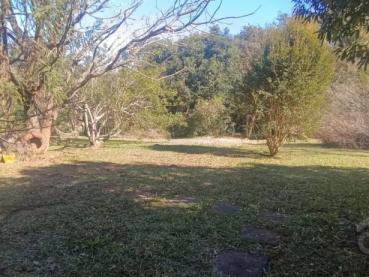 Terreno de 1m² à Venda - Ponta Grossa - Ref. 520110-4