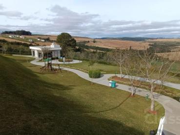 Terreno de 315m² à Venda - Ponta Grossa - Ref. 529152-4