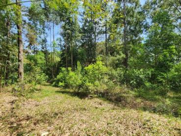 Sítio de 16m² à Venda - Ponta Grossa - Ref. 529170-4