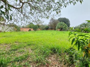 Terreno de 990m² à Venda - Ponta Grossa - Ref. 534779-4