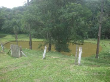 Chácara à Venda - Ref. 534823-4