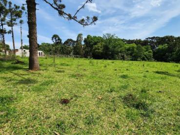 Terreno de 16m² à Venda - Ponta Grossa - Ref. 534837-4