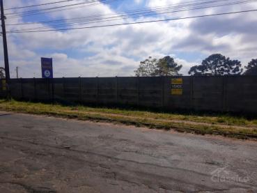 Terreno de 5.000m² à Venda - Ponta Grossa - Ref. 539659-4