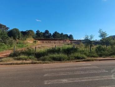 Terreno de 5.000m² à Venda - Ponta Grossa - Ref. 541101-4