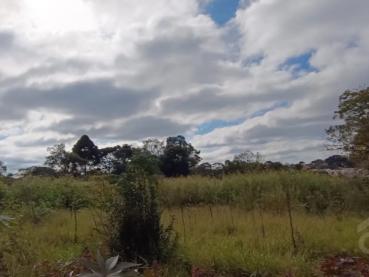 Terreno de 5.000m² à Venda - Ponta Grossa - Ref. 543455-4