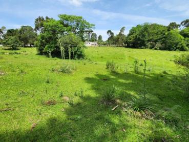 Sítio de 16m² à Venda - Ponta Grossa - Ref. 543760-4