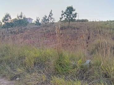 Terreno de 4m² à Venda - Ponta Grossa - Ref. 543767-4