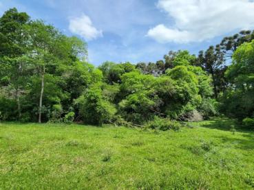 Terreno de 16m² à Venda - Ponta Grossa - Ref. 543778-4