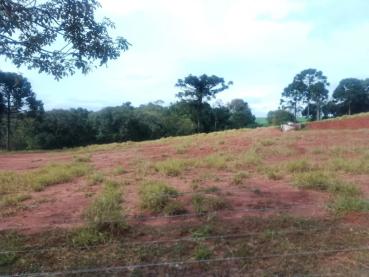 Terreno de 10m² para Alugar - Ponta Grossa - Ref. 546928-5